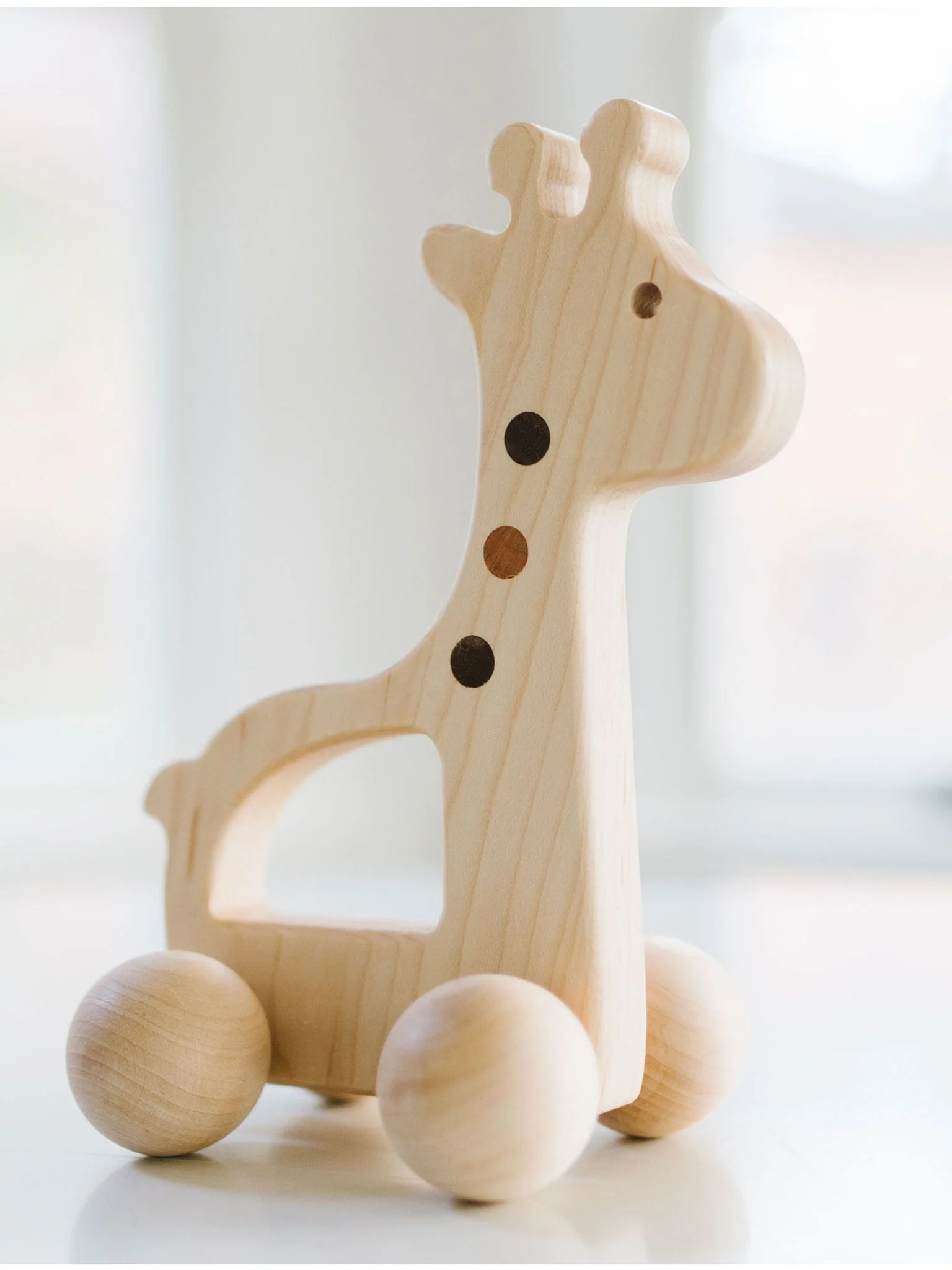 Giraffe Push Toy
