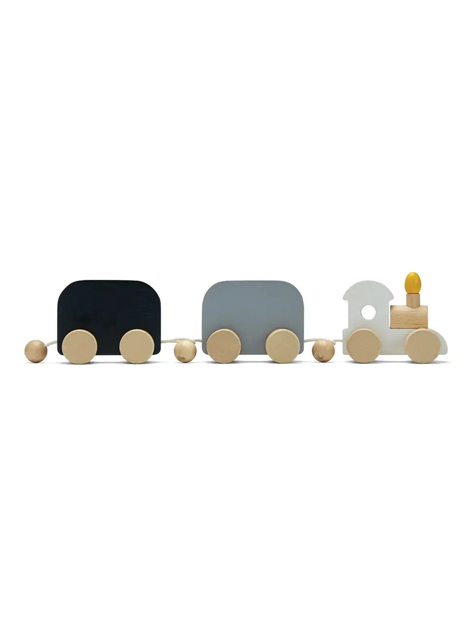 Celebration Train