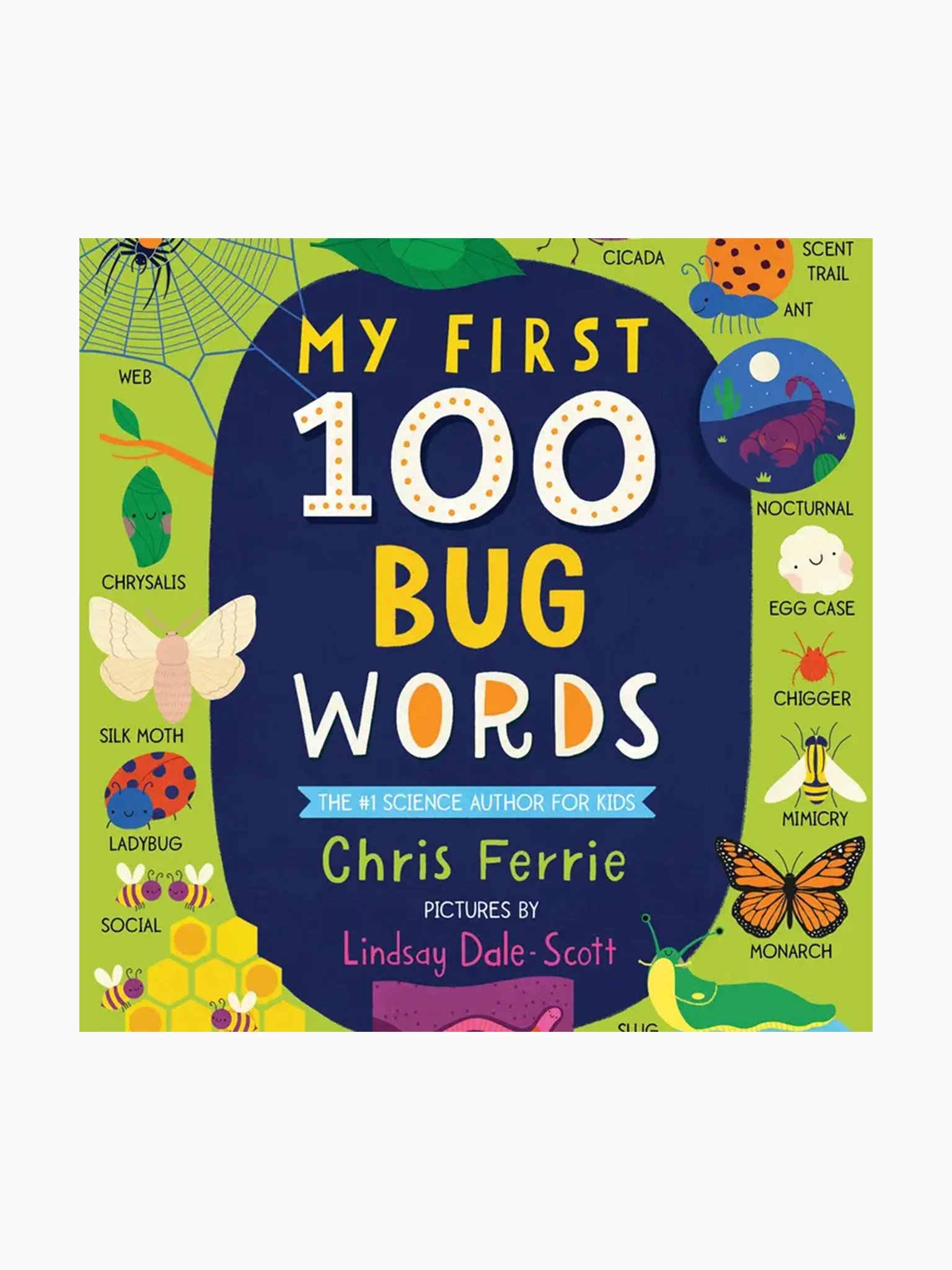 My First 100 Words Board Book